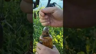 #shorts вкусняшка для карпа 🎣🎣 #carpfishing #карпфишинг #fishing #рыбалка #carp
