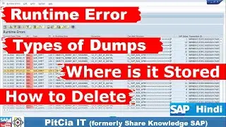 SAP S4 Dump Deletion, Housekeeping Activities, Dump Table, SE14 - Hindi | PitCia IT