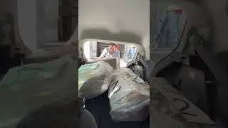 🔥 TENEMOS NUEVO PULPO 🤠