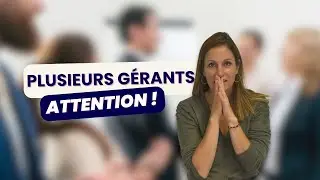 Cogérance en SARL : comment bien la mettre en place et éviter les pièges ?