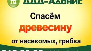 13 ноября 2019 г.