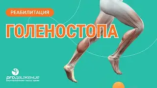 🦶 Реабилитация голеностопа