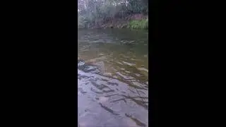 Егорка из деревни в прямом эфире!