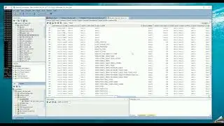 DataPump Export using SQL Developer