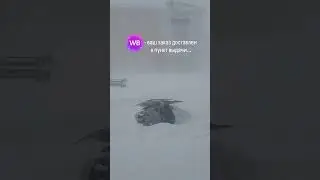 много нас таких ?😆