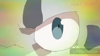 H.a.Y meme коты воители