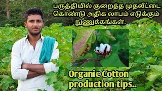 Organic Cotton farming tips in Tamil| profit tips| Cotton production tricks in Tamil| Frank tube