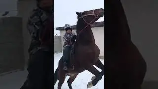 Мына балаға риза болдым