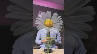 Seviyor, sevmiyor :)