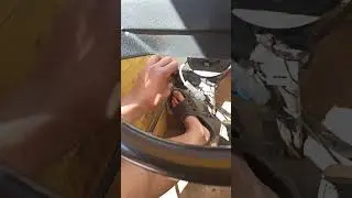 Таксишка
