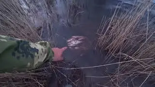#18 По ходу я это уже Видел