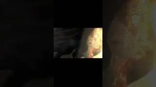 джоджо референс #16 
