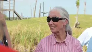 Dr. Jane Goodall - Save the Chimps