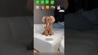 ¿ 