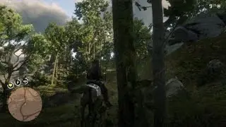 Red Dead Redemption 2 - Flying Horse