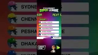 cricket game and