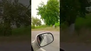 Васильевский тракт