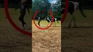 This Horse Did Something Totally Unexpected 😱🐴