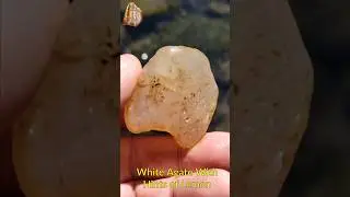 White Agate with Hints of Lemon - Rockhounding Find #shorts #agate #rockhounding