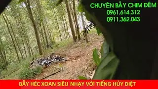 Bẫy tiếng héc xoan chuẩn ăn đàn nhất 2019