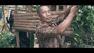Desa Suro Muncar Kecamatan Ujan Mas Kabupaten Kepahiang Provinsi Bengkulu