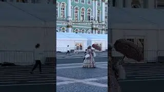развод в Питере #reels #юмор #питер #развод