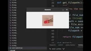 Continuous image capture from webcam