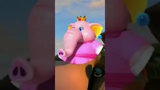 ESE BOWSER ES UN VERDADERO HOMBRE HEHE