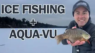 ICE FISHING | PANFISH | BONUS MUSKIE FOOTAGE