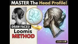 Loomis Drawing Guide: Create Portraits Like a Pro! 🚀