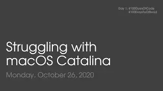Struggles with NFS on macOS Catalina