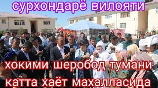 сурхондарё вилояти хокими Улугбек Косимов Шеробод тумани Катта хаёт махалласида сумалак сайлда