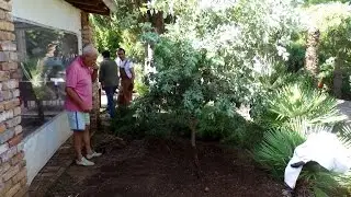 Vila Kaliopa dobila prinovu, a prinova kumu - 20141001