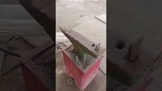 Horse 🐴 Riding swo # Yt video #Viral #2024