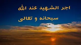 اجر الشهيد عند الله سبحانه و تعالى من تذكرة القرطبي