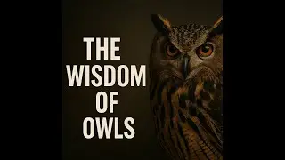 The Wisdom of Owls | Spiritual Symbolism & Intuition Explained