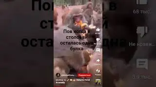 #жиза