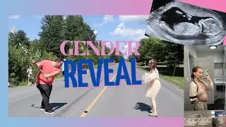 WE ARE HAVING A.. (GENDER REVEAL)