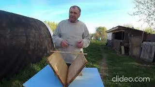 Тропа лося.