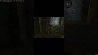 Thank you, Neloth 🤨 #Skyrim #Humor #Gamer
