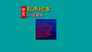 《小鱼排队》儿童晚安故事|有声绘本故事|幼儿睡前故事Chinese Audio Picture Book