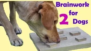 Brainwork for dogs