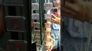 №1 Сознание успеха. Как добраться