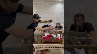 9 сентября 2024 г.