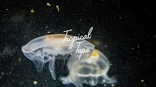 Tim Engelhardt feat. Forrest - Eyes Closed (Tim Green Remix)