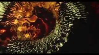 Moving Oil and Acryl Paints - Psychedelic Animation