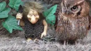 Little Owls in Fairyland.In the good old summertime.Created by Marino van Wakeren