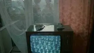 родня 2