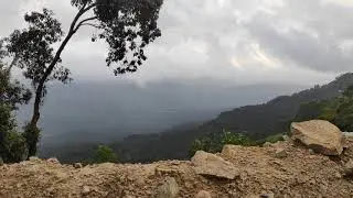 Nature - Munnar roadways, Kerala