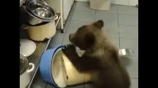 Сеня требует больше внимания